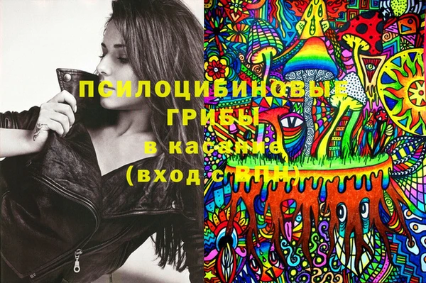 PSILOCYBIN Магадан