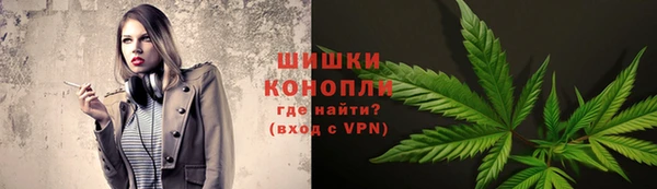индика Майский