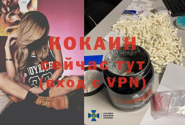 ГАЛЛЮЦИНОГЕННЫЕ ГРИБЫ Магас