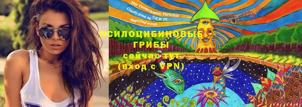 PSILOCYBIN Магадан