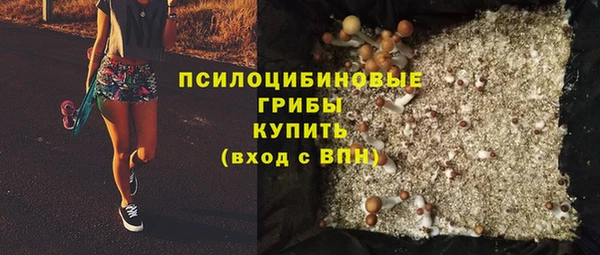 индика Майский