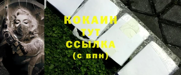 ГАЛЛЮЦИНОГЕННЫЕ ГРИБЫ Магас