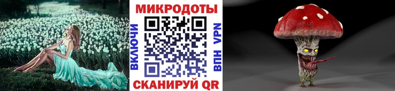Купить  Юрюзань  Псилоцибиновые грибы Psilocybine cubensis 
